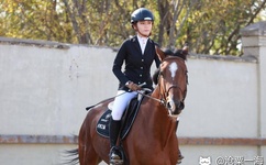 衡山路惊现美女裸拍